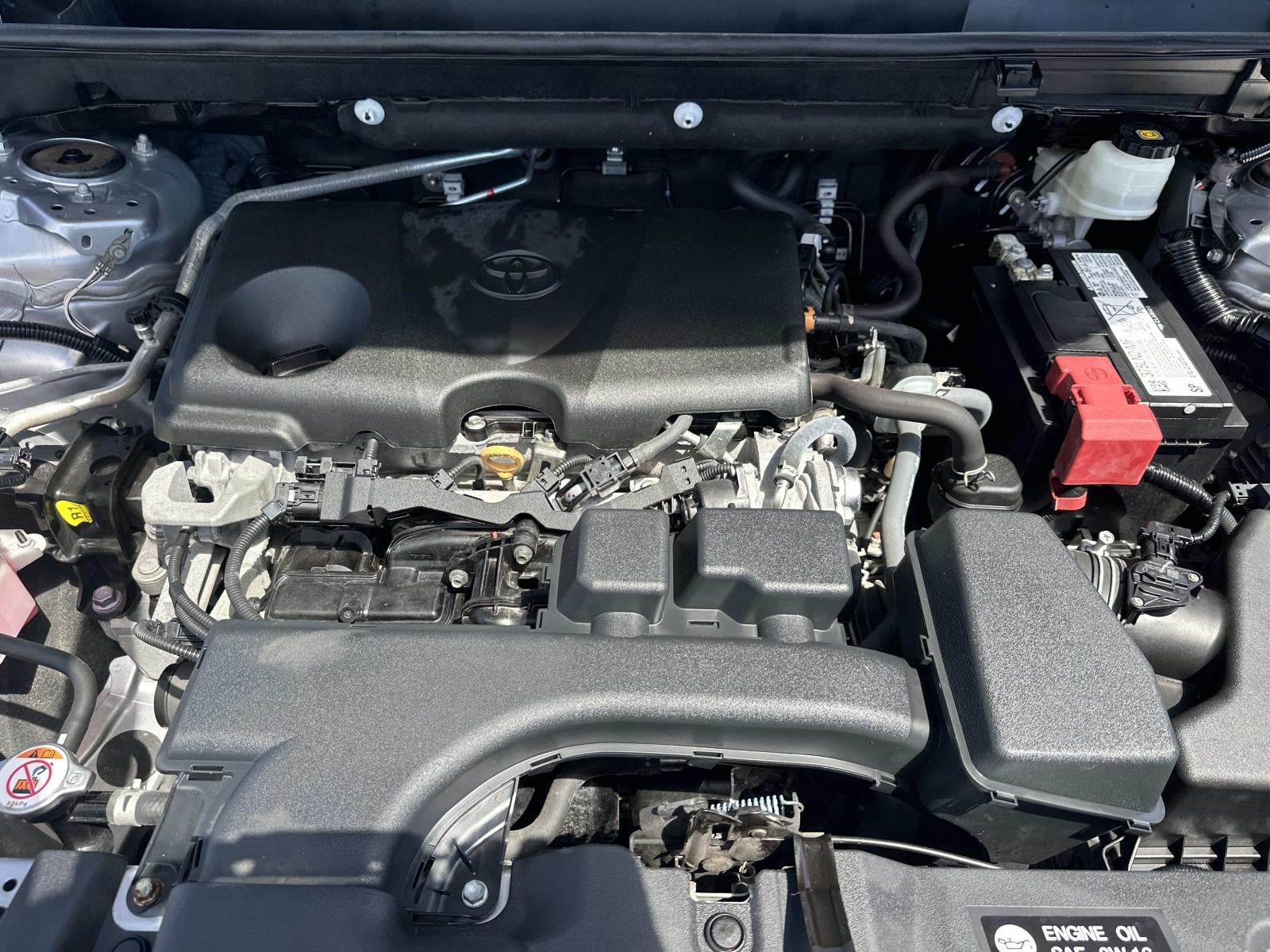 2023 Toyota RAV4 LE FWD (Natl)